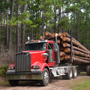Timber Supply app